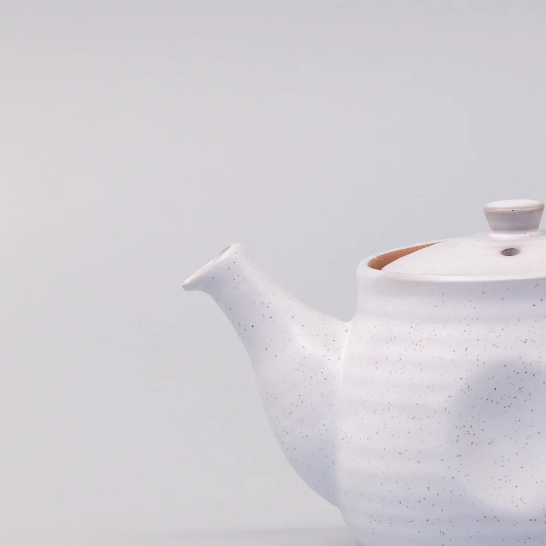 Made in Japan | teapot 300ml - white speckled