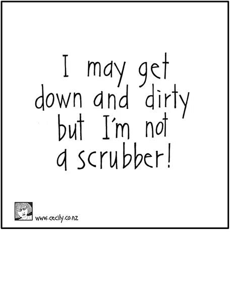 Cecily Cleaning Cloth