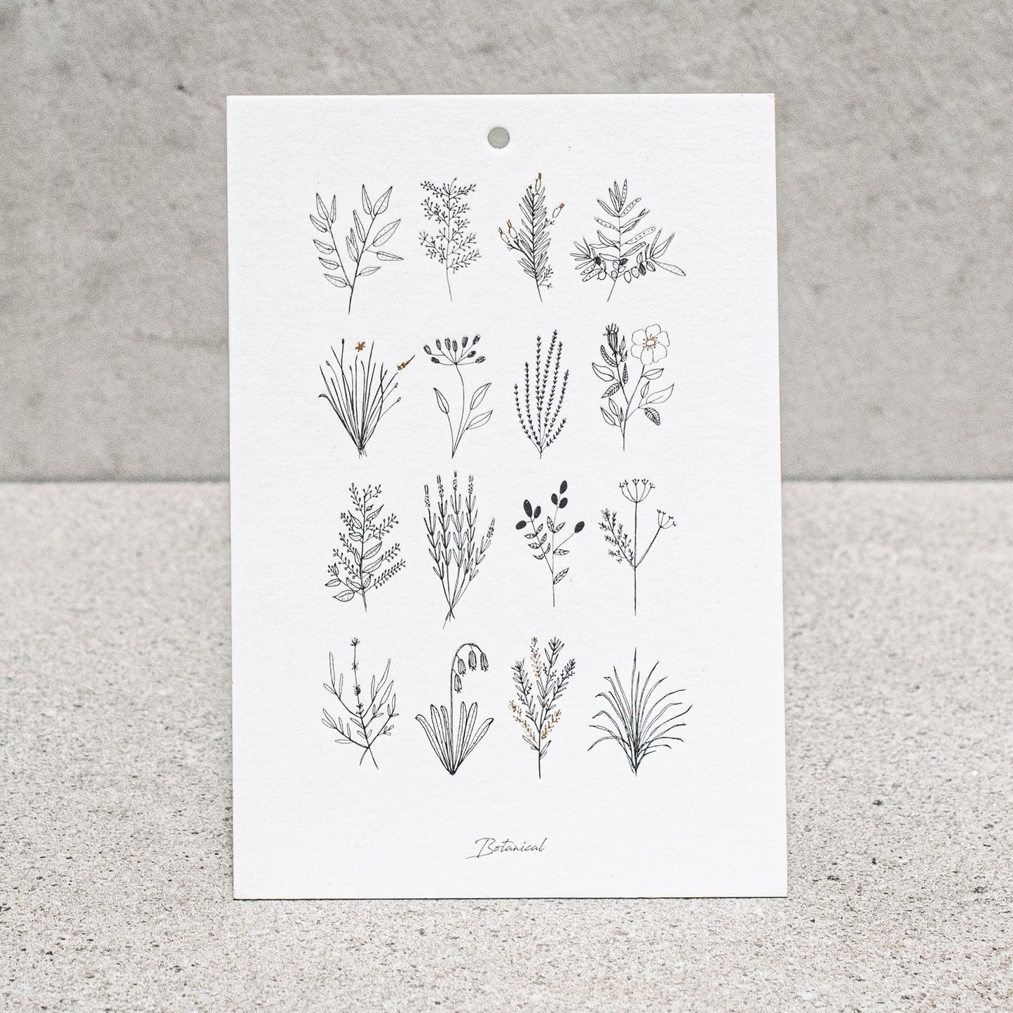 Heaven in Earth | Botanica Letterpress Card