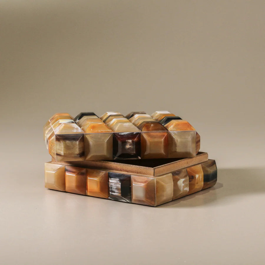 Prism Horn Box