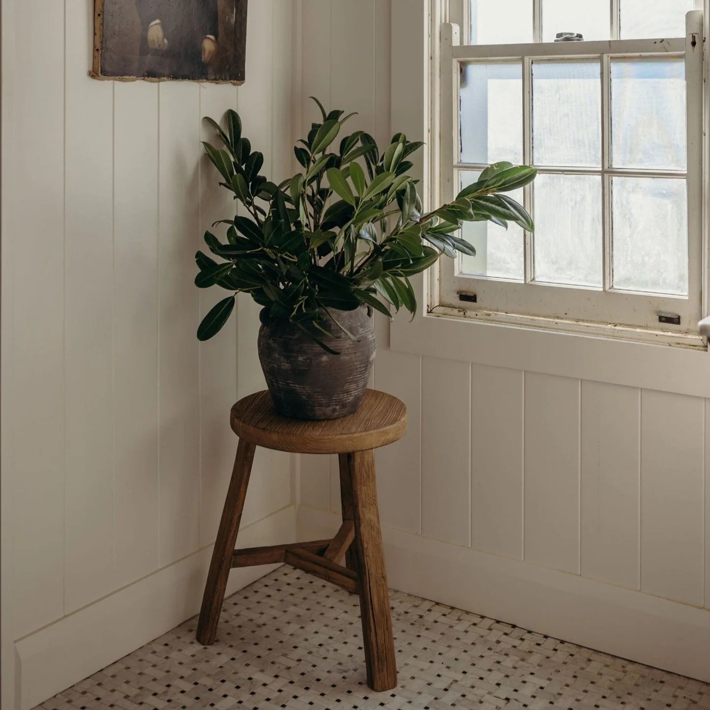 Small Water Pot