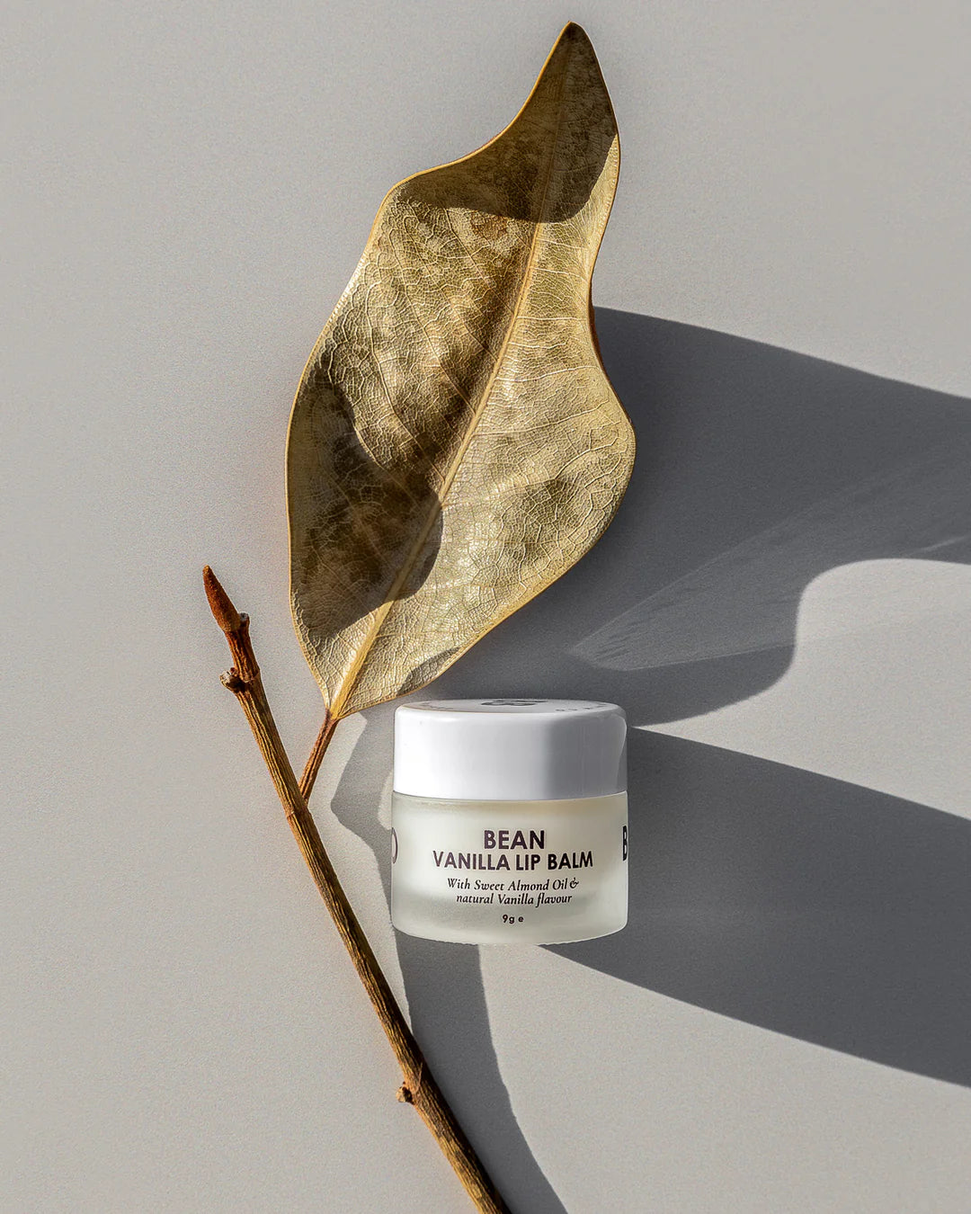 Balm Balm Co Bean Vanilla Lip Balm