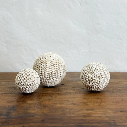 Nassa Shell Ball