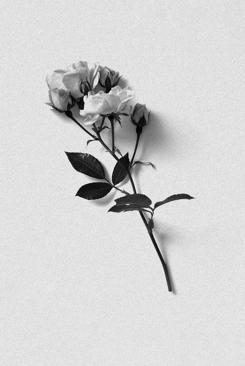 Bordan | Rosewater Room Spray
