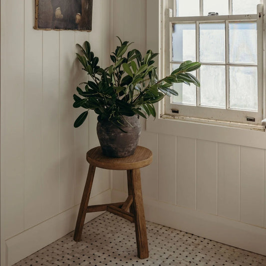 Small Water Pot