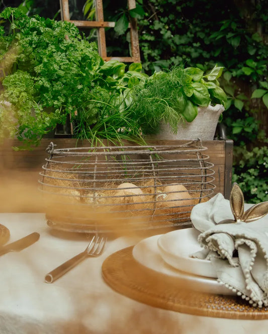 Wire Oval Egg Basket